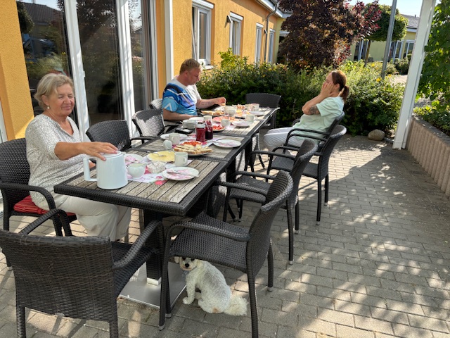 IMG 0785